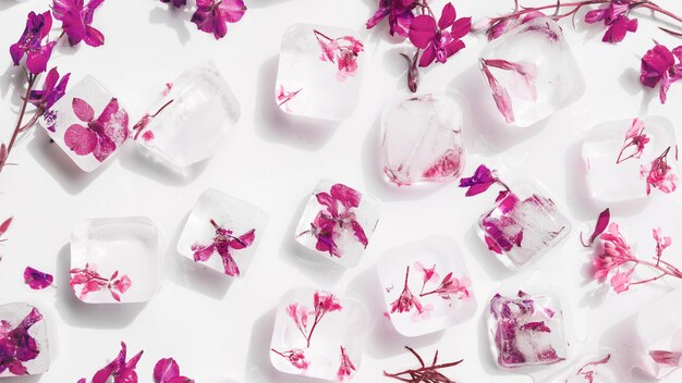 Cubos de gelo branco com flores dentro