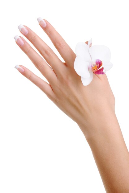 Cuidados com a pele e pureza de uma mão feminina com flor isolada no branco