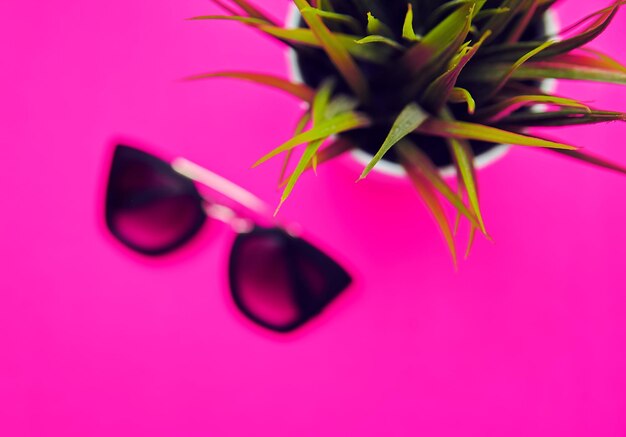 Óculos de sol e planta em vaso em fundo colorido rosa vívido