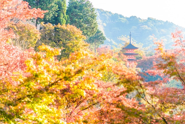 cultura japão santuário budista japonês