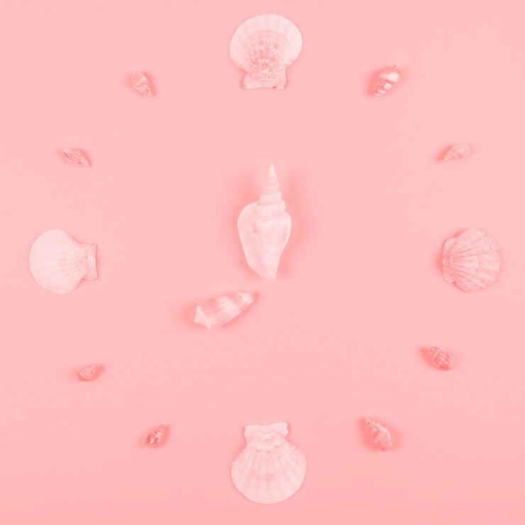Foto grátis decoração de conchas no fundo rosa