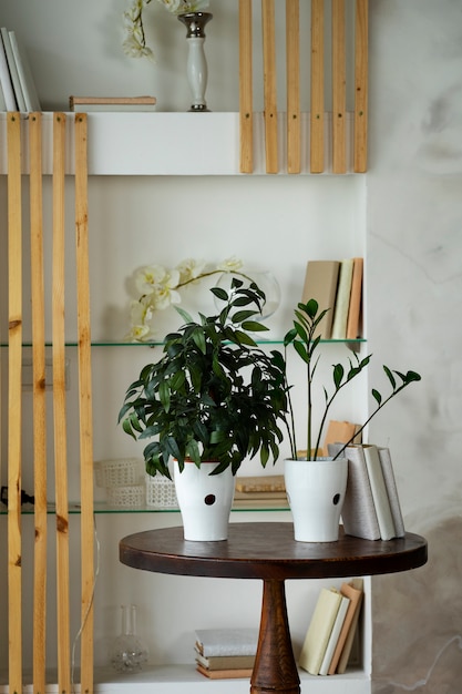 Decoração de interiores com vasos de plantas na mesa de madeira