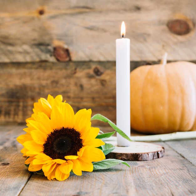 Decoração de outono com girassol e vela