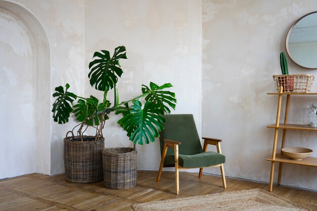 Decoração do quarto com planta de monstera em vaso