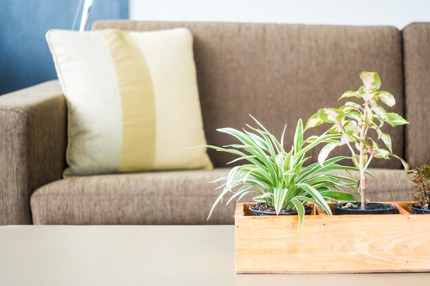 decoração planta vaso na sala