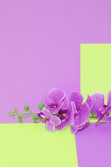 Decoração romântica flores calla no espaço de geometria vertical. cena minimalista. bloom, primavera, verão, cartão de felicitações, conceito de convite.