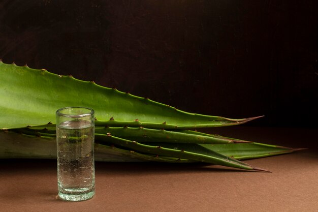 Deliciosa composição de bebida de mezcal