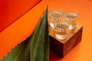 Foto grátis deliciosa variedade de bebidas alcoólicas de mezcal