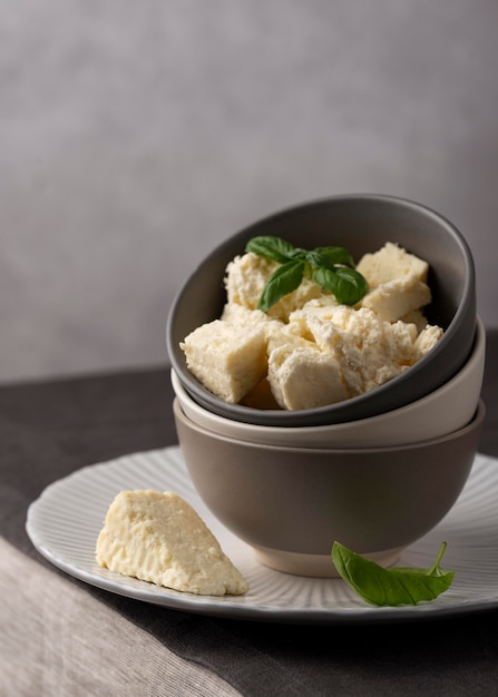 Deliciosa variedade de queijo paneer