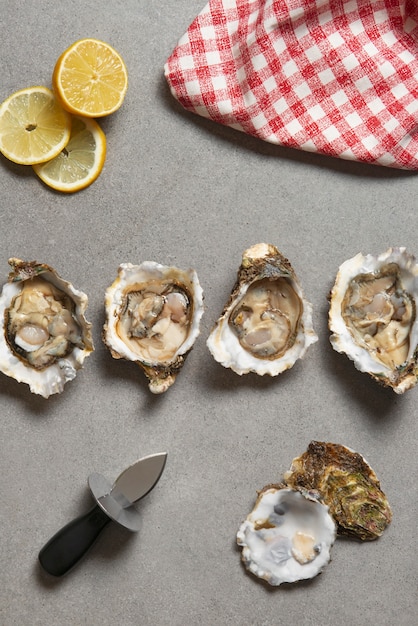 Foto grátis deliciosas ostras prontas para comer natureza morta