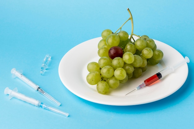 Deliciosas uvas brancas com alimentos modificados por OGM