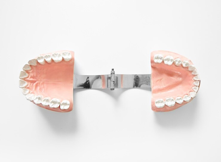 Foto grátis dentes dentários médicos de sorriso de mandíbulas em fundo branco