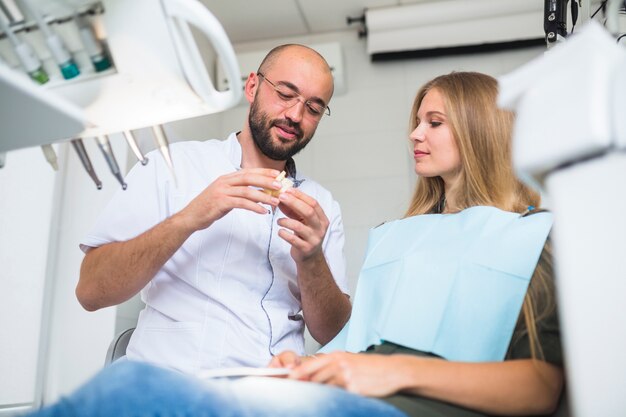 Dentista, mostrando a mandíbula dental para paciente do sexo feminino na clínica