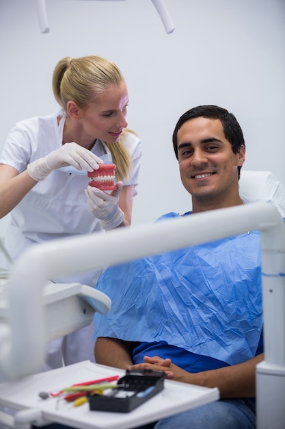 Dentista, mostrando o conjunto de dentes de modelo para o paciente