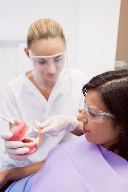 Dentista, mostrando os dentes modelo para paciente do sexo feminino