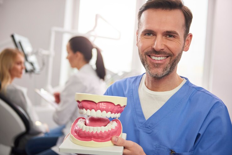 Foto grátis dentista sorridente mostrando uma prótese artificial