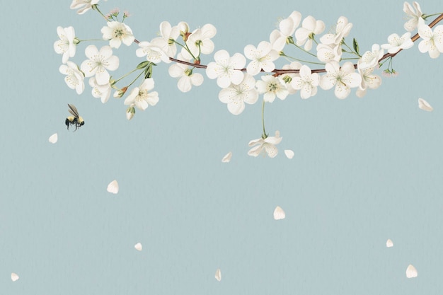 Design de cartão floral branco em branco