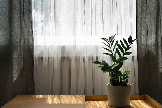 Foto grátis design de interiores com bela planta
