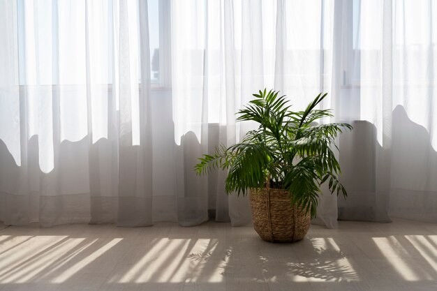 Design de interiores com sombra de planta verde