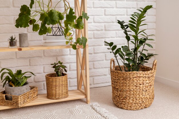 Design de interiores de salas com prateleiras e plantas