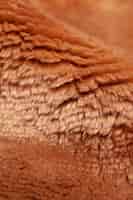 Foto grátis detalhe de close-up de pele marrom