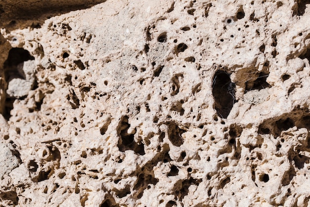 Detalhe, de, pedra branca, com, buracos