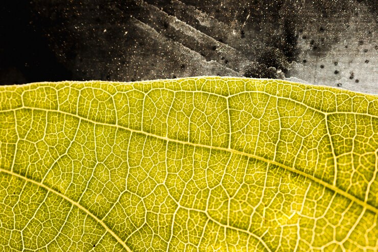 Foto grátis detalhe, de, um, folha verde