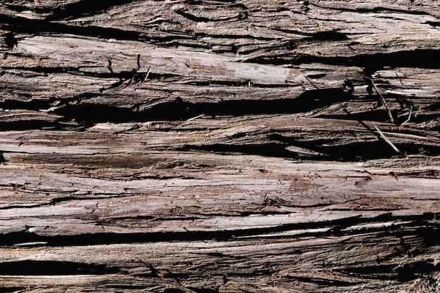 Foto grátis detalhe, de, um, marrom, tronco