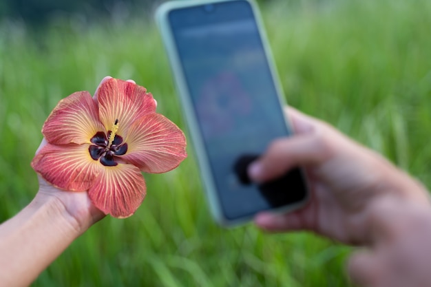 Detalhe de uma mão fazendo uma foto com o celular para uma flor que segura na mão