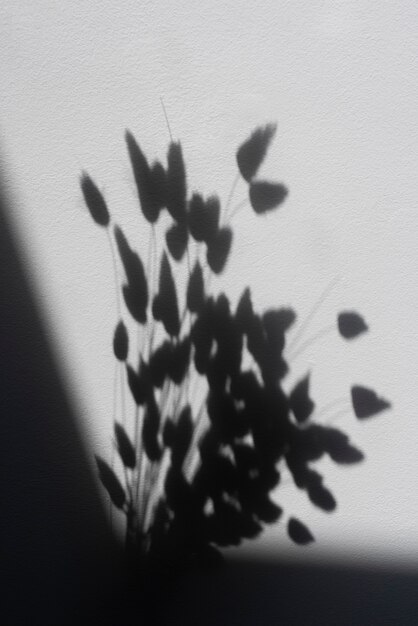 Detalhes de sombra naturais e abstratos