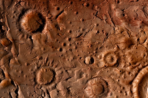 Detalhes laranja do conceito de textura da lua