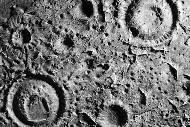 Detalhes preto e branco do conceito de textura da lua