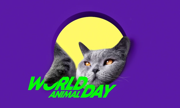 Dia mundial do animal com gato fofo