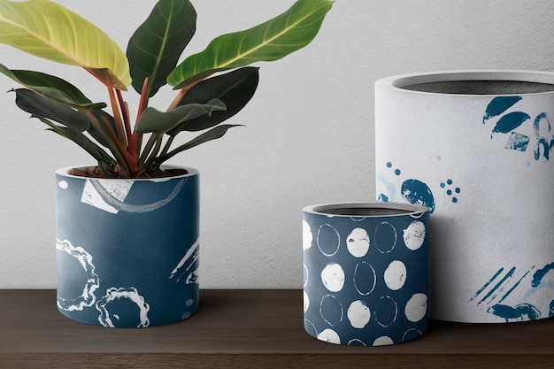 Foto grátis dieffenbachia camille planta em um vaso azul