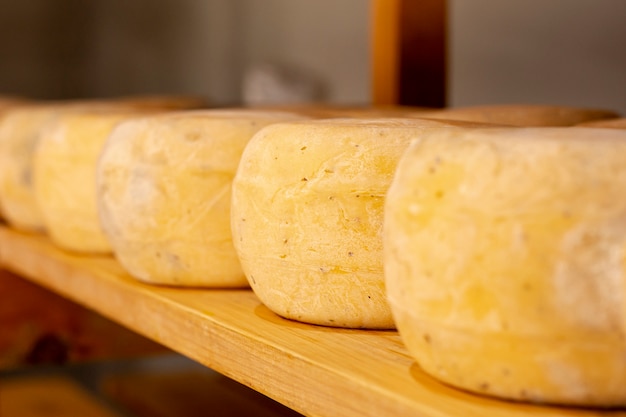 Disposição de queijos saudáveis