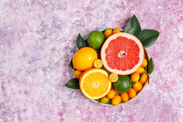 Diversas frutas cítricas frescas, limão, laranja, lima, toranja, kumquats.