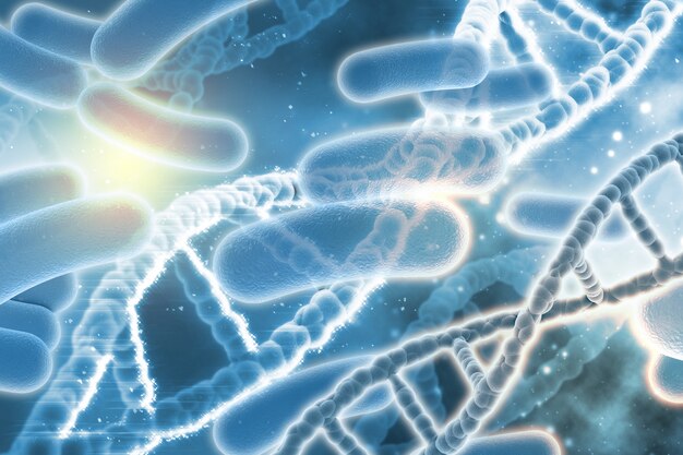 DNA e bactérias