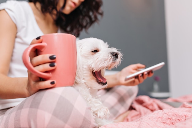 Doce cachorrinho branco bocejando de joelhos, mulher jovem de pijama relaxando na cama com uma xícara de chá. Desfrutando de algum conforto com animais de estimação, humor alegre