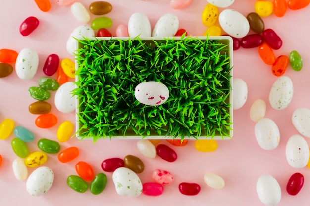 Foto grátis doces e ovos em volta do pote com grama