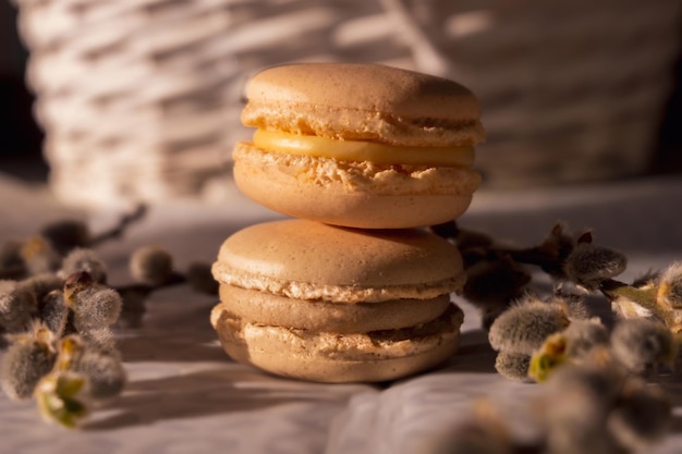 Dois macarons bege cremosos em um terreno plano branco e cinza perto de algumas plantas de primavera