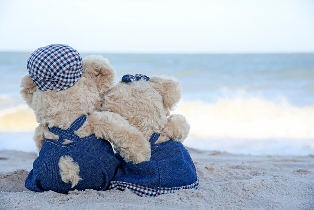 Dois ursos de pelúcia sentados na praia