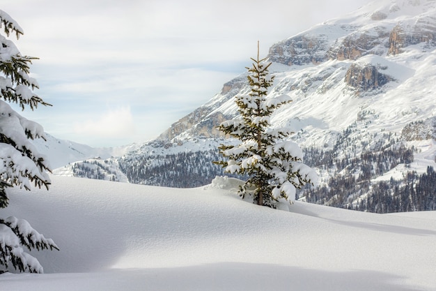 Foto grátis dolomites