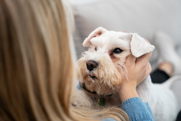 Foto grátis dono de perto segurando a cabeça do cachorro