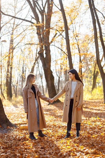 Duas amigas lindas passando tempo juntas. Duas jovens irmãs sorridentes andando no parque outono. Meninas morenas e loiras vestindo casacos.