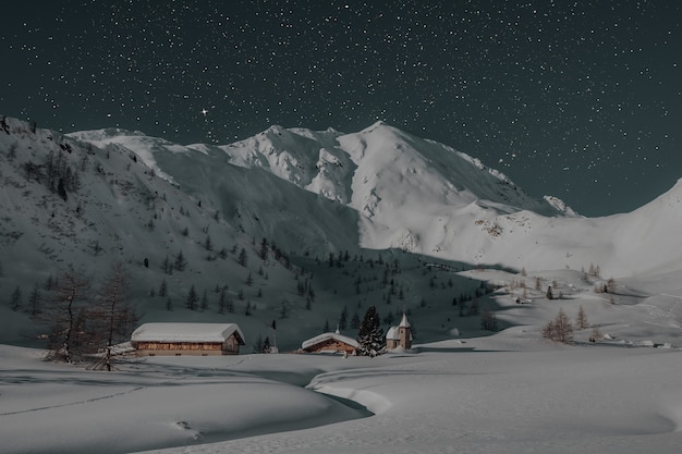 Foto grátis duas casas marrons cobertas de neve