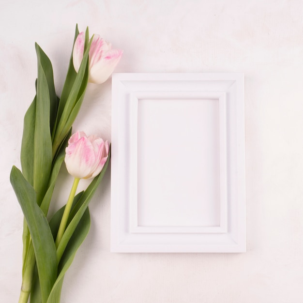 Duas flores de tulipa com moldura em branco na mesa