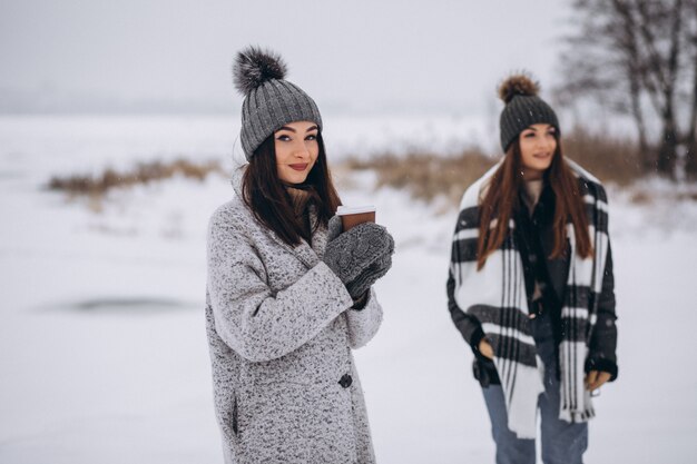 Duas garotas caminhando juntos em um parque de inverno