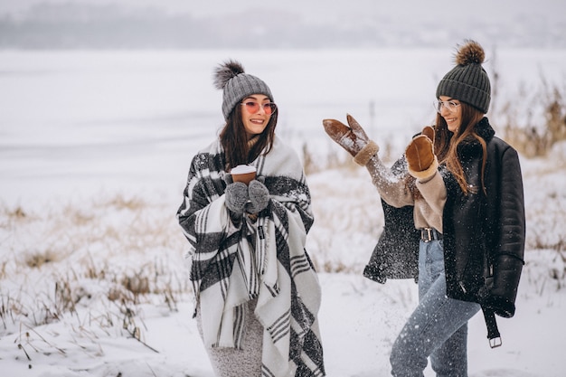 Duas garotas caminhando juntos em um parque de inverno