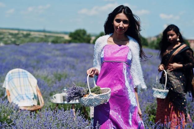 Duas lindas garotas indianas usam vestido tradicional saree índia no campo de lavanda roxo