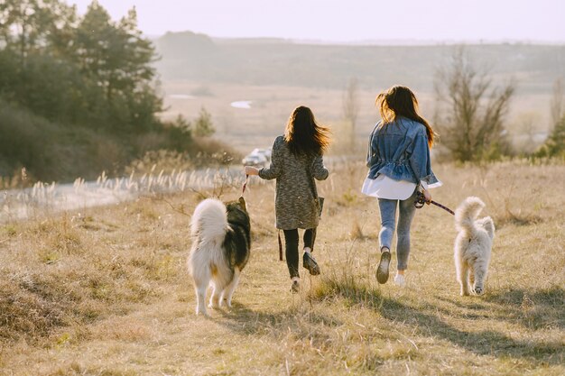 Duas meninas elegantes em um campo ensolarado com cães